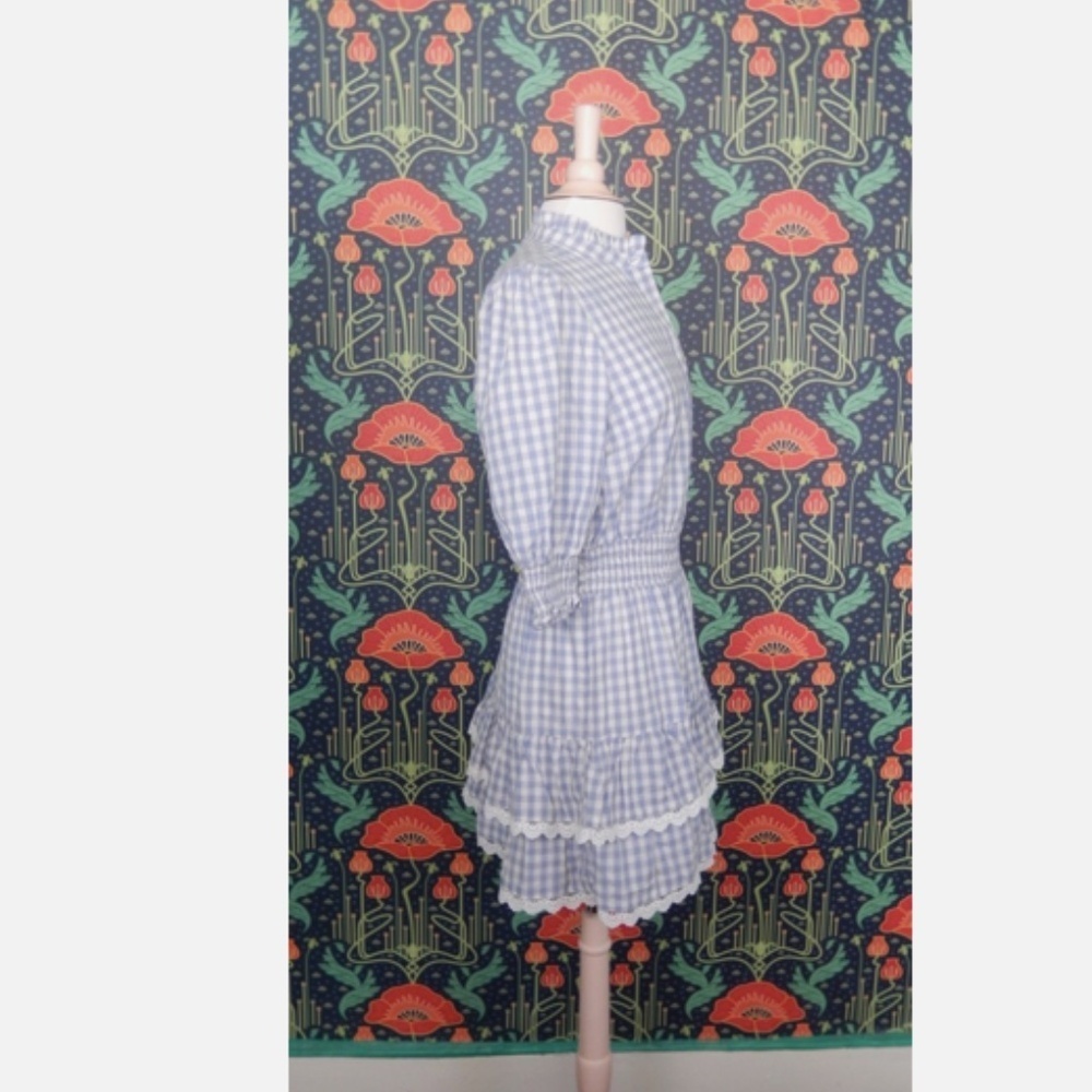 The Shirt Rochelle Behrens Brigitte Blue White Gingham Mini Dress - Picture 7 of 8
